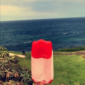 Meet your Posher, Sylvia